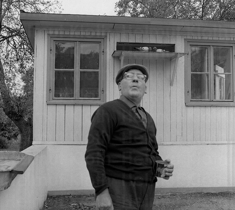 © Helmut Kloth: Pixelprojekt